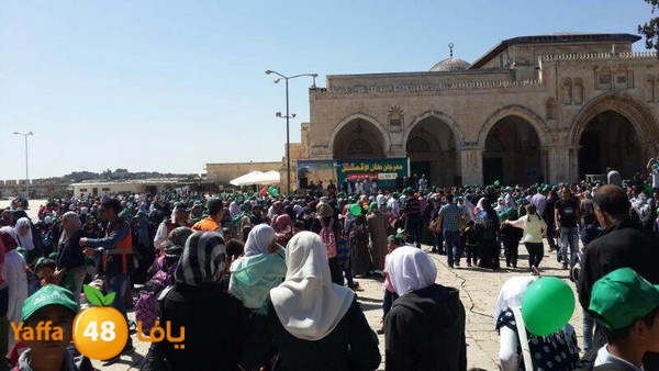 aqsa mahrajan 12 (8).jpg